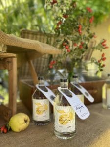 Maximilian´s begin dry gin 225x300