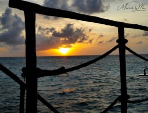 Moments by Mic Fotografie Natur 192 300x228