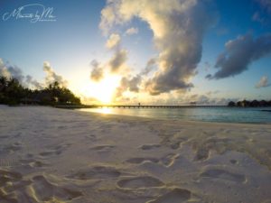 Moments by Mic Fotografie Natur 221 300x225