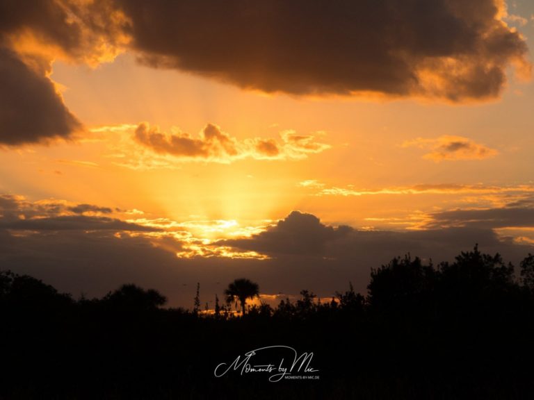 Moments by Mic Fotografie Natur 248 768x576
