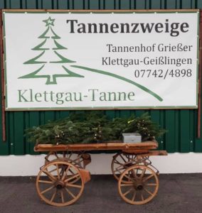 Tannenzweige am Hof
