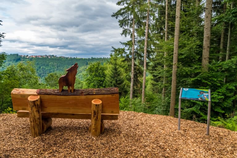 Wolfspfad Ausruhen auf der Wolfsbank 768x512