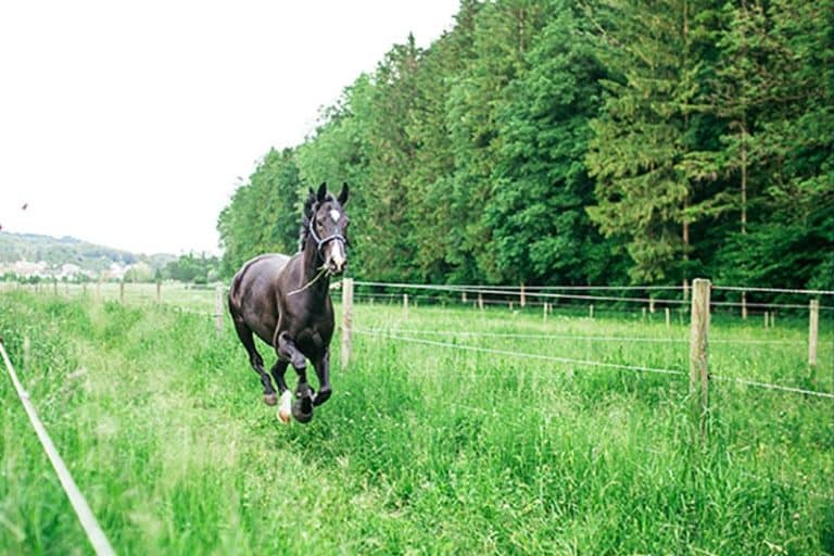 anlage 1 768x512