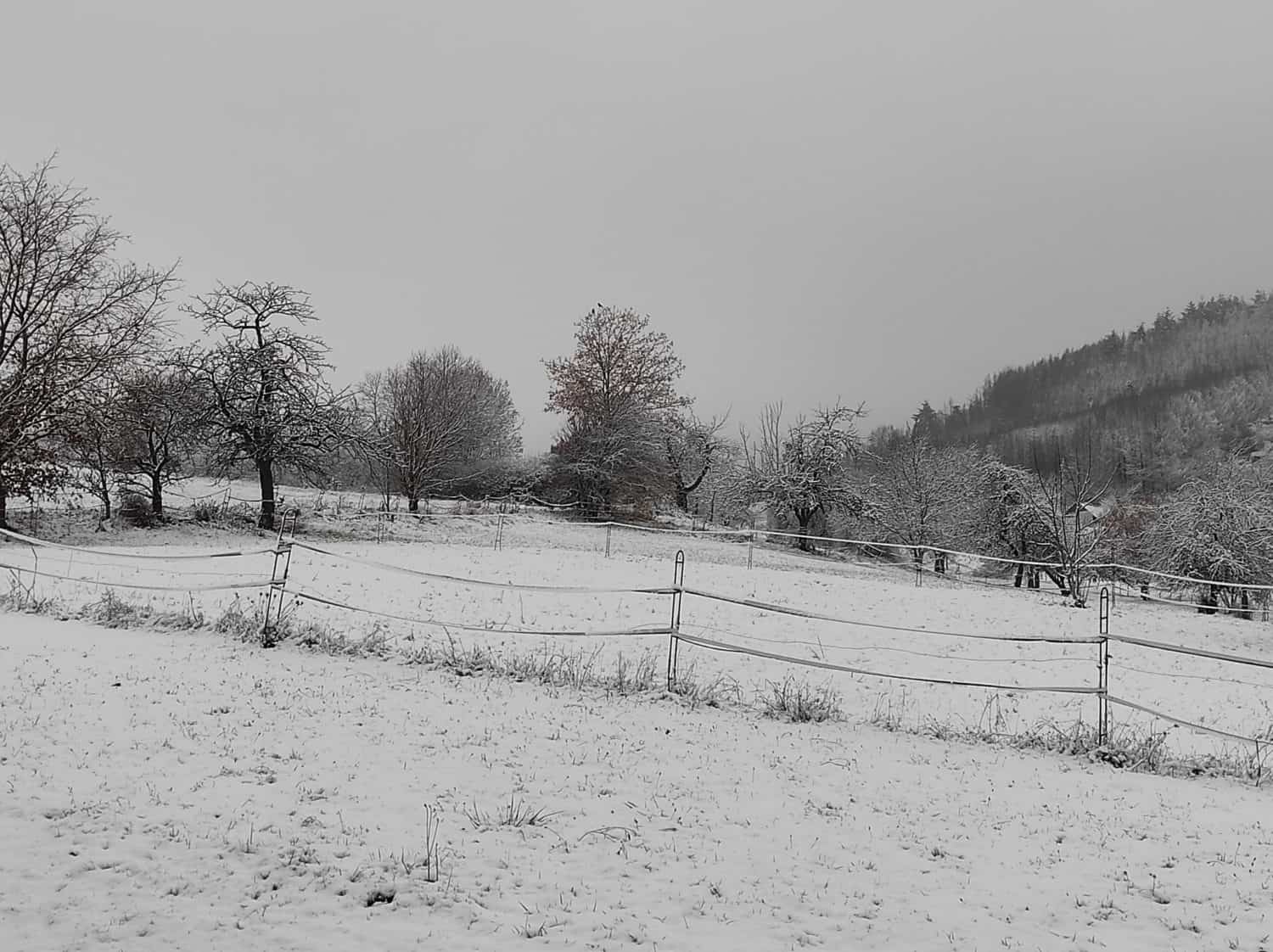 Der erste Schnee ist da. Zahlreiche Unfälle! 1 128543753 3829347963751357 7300269487317329968 o