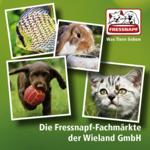 Image Anzeige 60 x 60 mm Tiere 1 300x300