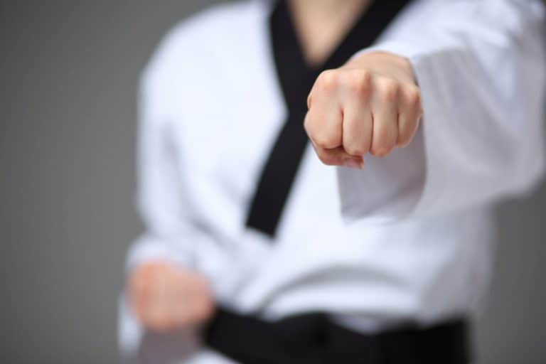 karate 768x512