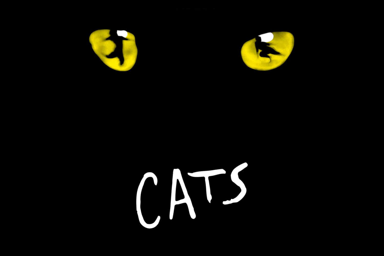 CATS Key Visual