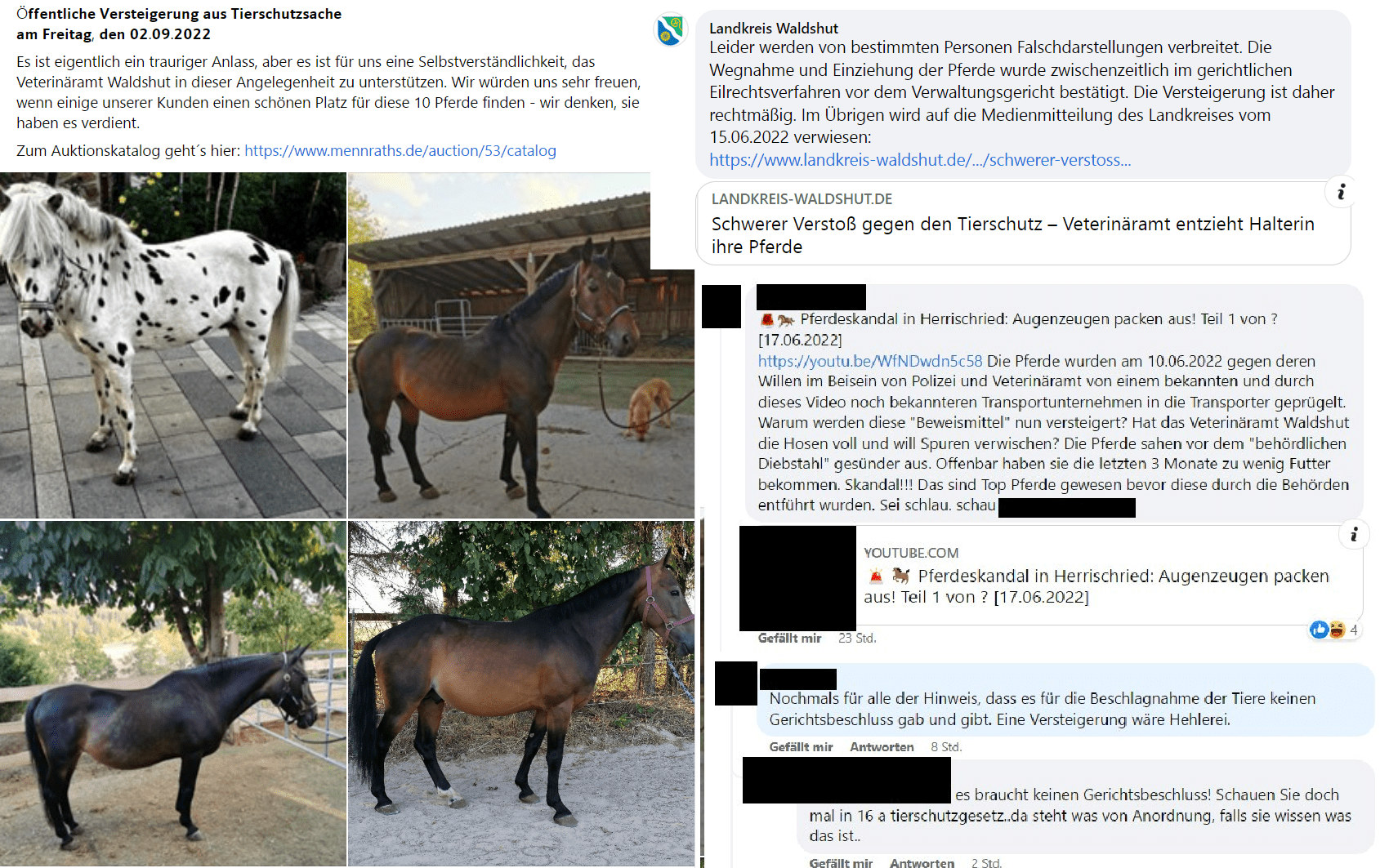 Update im Fall der in Herrischried beschlagnahmten Pferde 1 DCIM 2778741