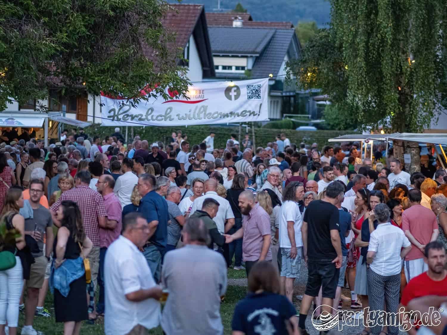 michael erzingen musikimpark 20230708 020