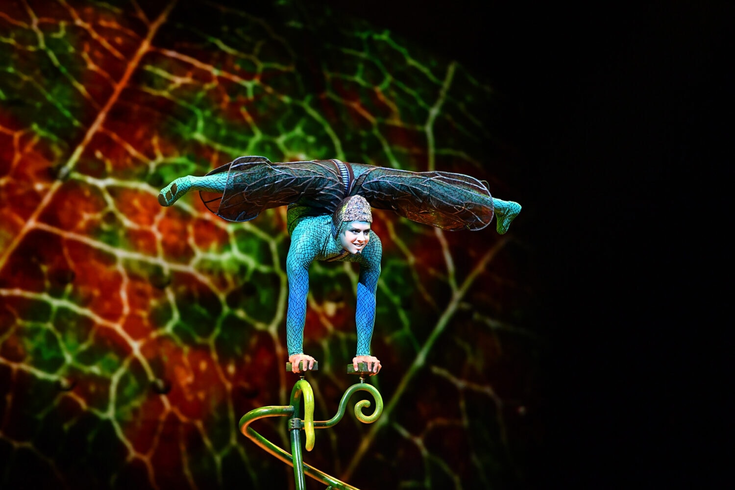 Cirque du Soleil OVO Foto Vlad Lorenzo 1