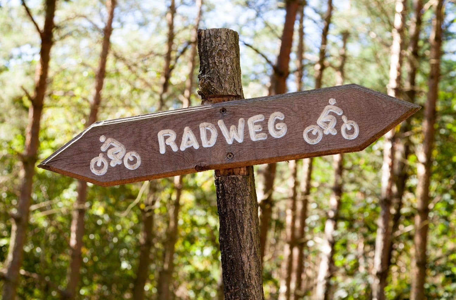 Radweg zwischen Riedern und Dettigkofen wird saniert 55 radweg