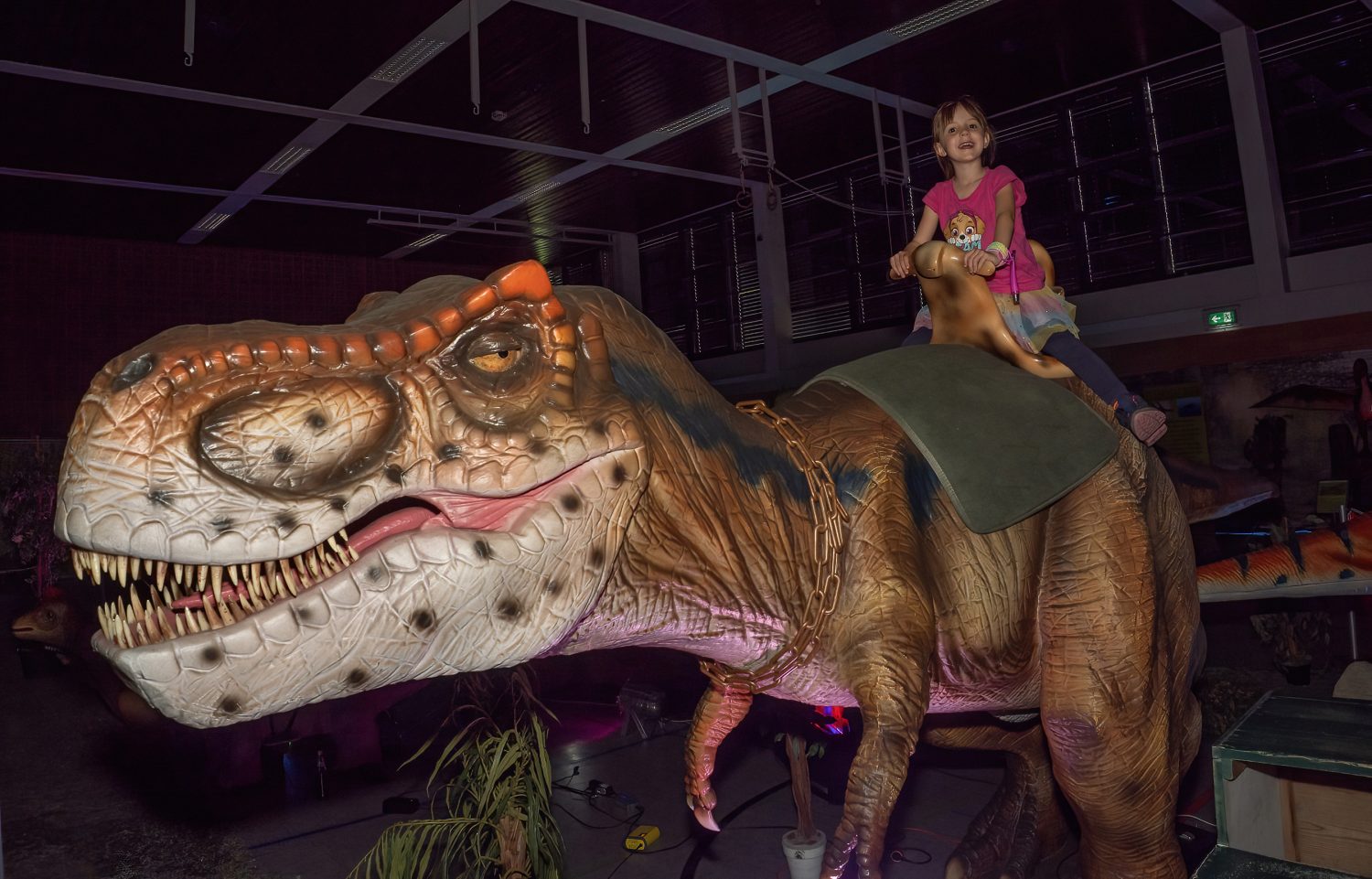 Dino-Fieber in Tiengen: Die Dino Expo und Show für Groß und Klein in der Stadthalle 4 DINO Tiengen 003
