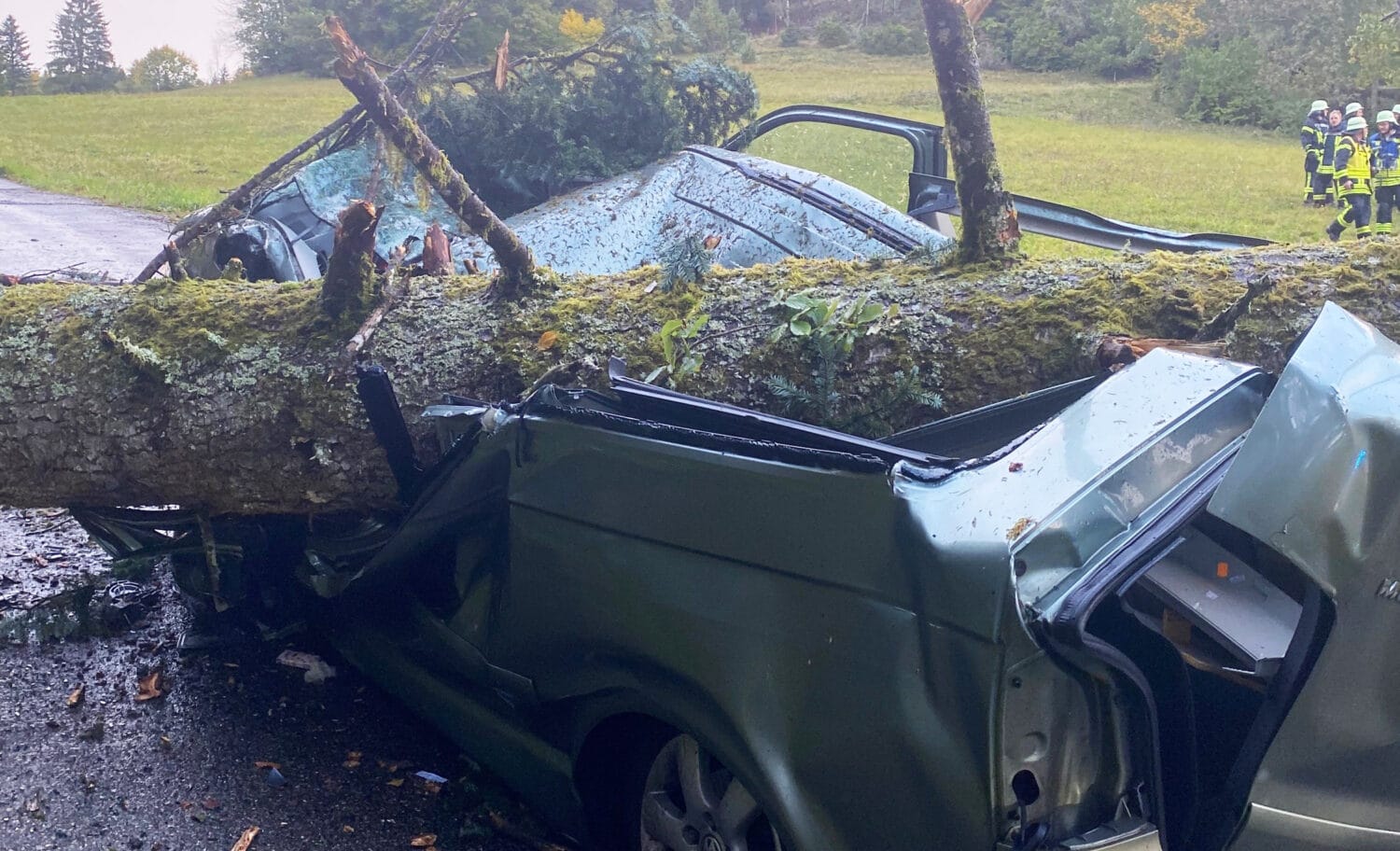 Baum stürzt auf Kleinbus, zwei Schwerverletze in Dachsberg 1 baum auf auto