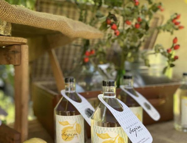 Maximilian´s begin dry gin scaled