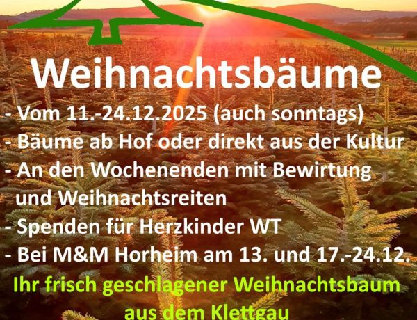 Verkauf2025