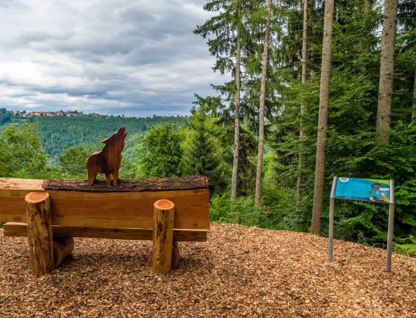 Wolfspfad Ausruhen auf der Wolfsbank